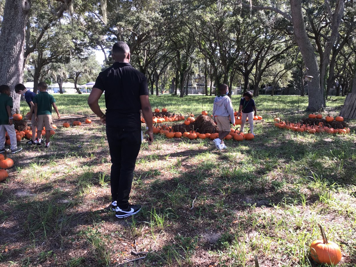 Sandy Lane ES tweet media