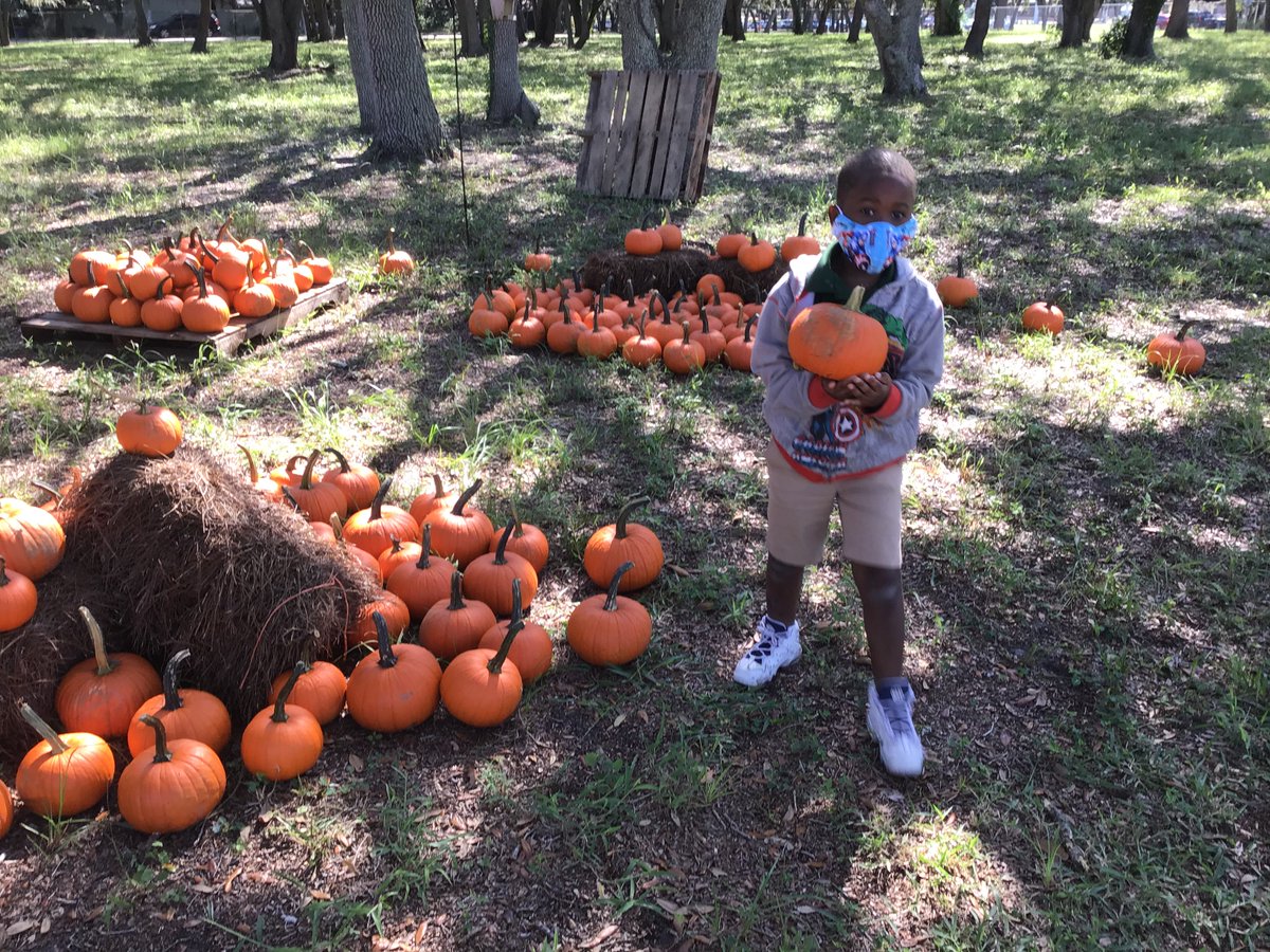 Sandy Lane ES tweet media