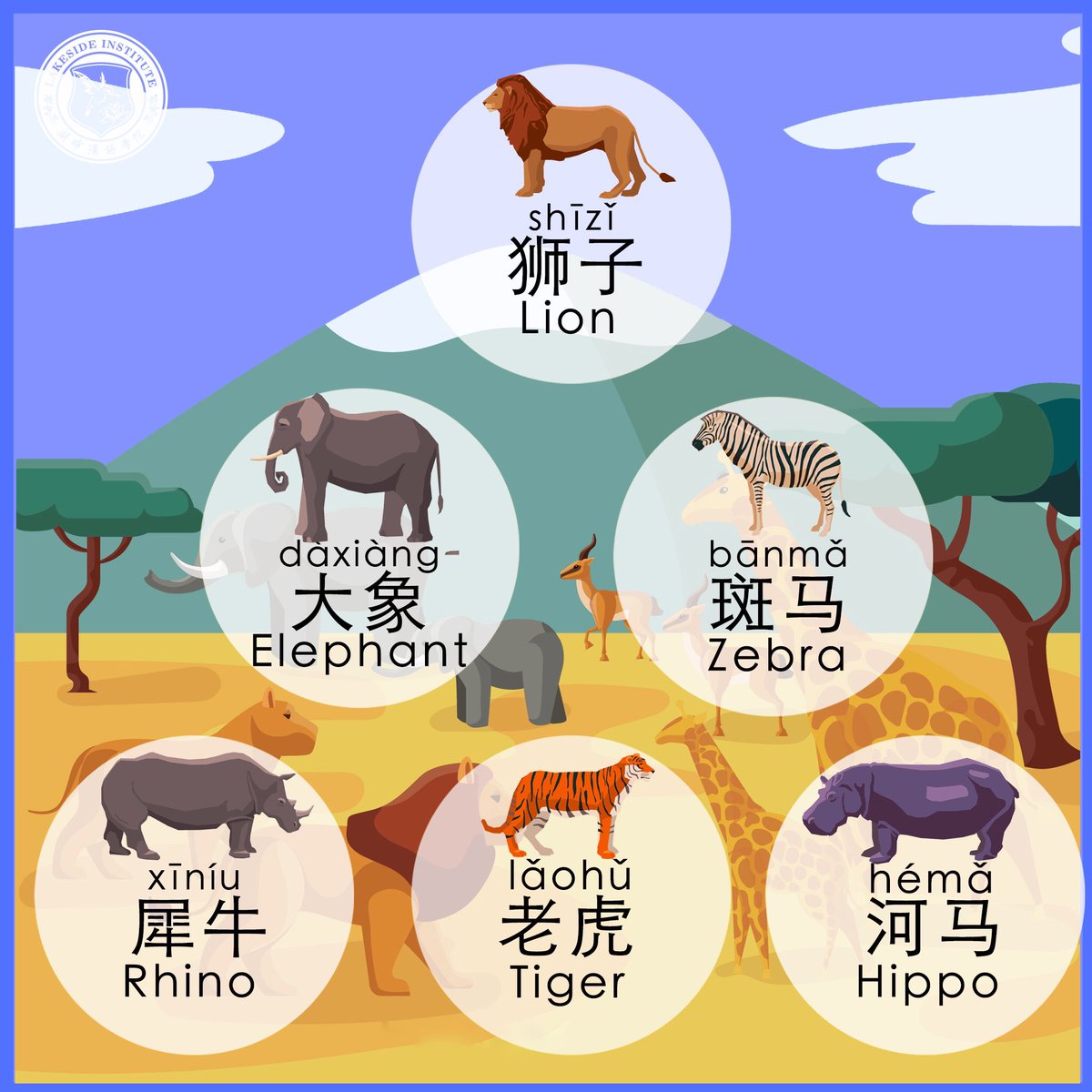 lakesidechinese's tweet photo. One of our #lakesidelearning ‘s tip is to study as many words as possible! The more words you know the easier will be communicate in Chinese.
Today we're studying together how to say some unusual kind of animals: the ones living in the savannah!
Which is your favourite animal? https://t.co/zVulvvmkUU
