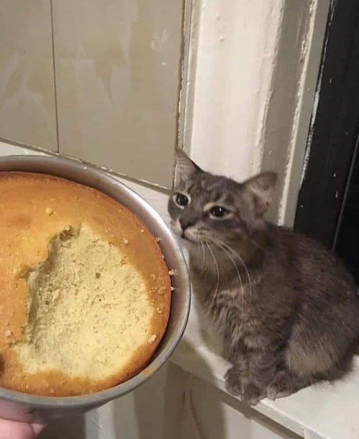 Y no me arrepiento de nada