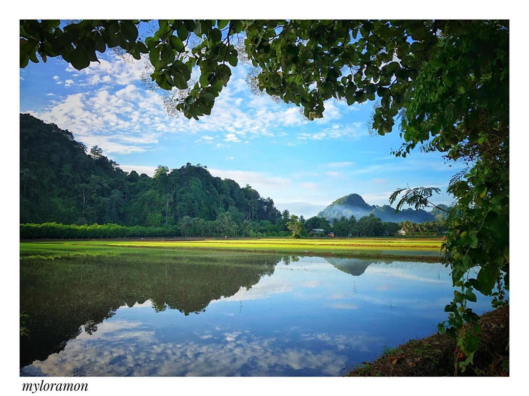 PerlisPermai's tweet photo. 𝗦𝗔𝗟𝗔𝗠 𝗣𝗘𝗥𝗟𝗜𝗦

14 Oktober 2020 | 26 Safar 1442H

Selamat Pagi | 📷 Kampung Nesam, Bintong, Perlis
⠀
Kredit foto  : IG @myloramon

#PerlisPermai💛💙 #SelamatPagi🌄 #JomPiPerlis #Bintong #Perlis #Malaysia🇲🇾 https://t.co/Z9PApf2f1E