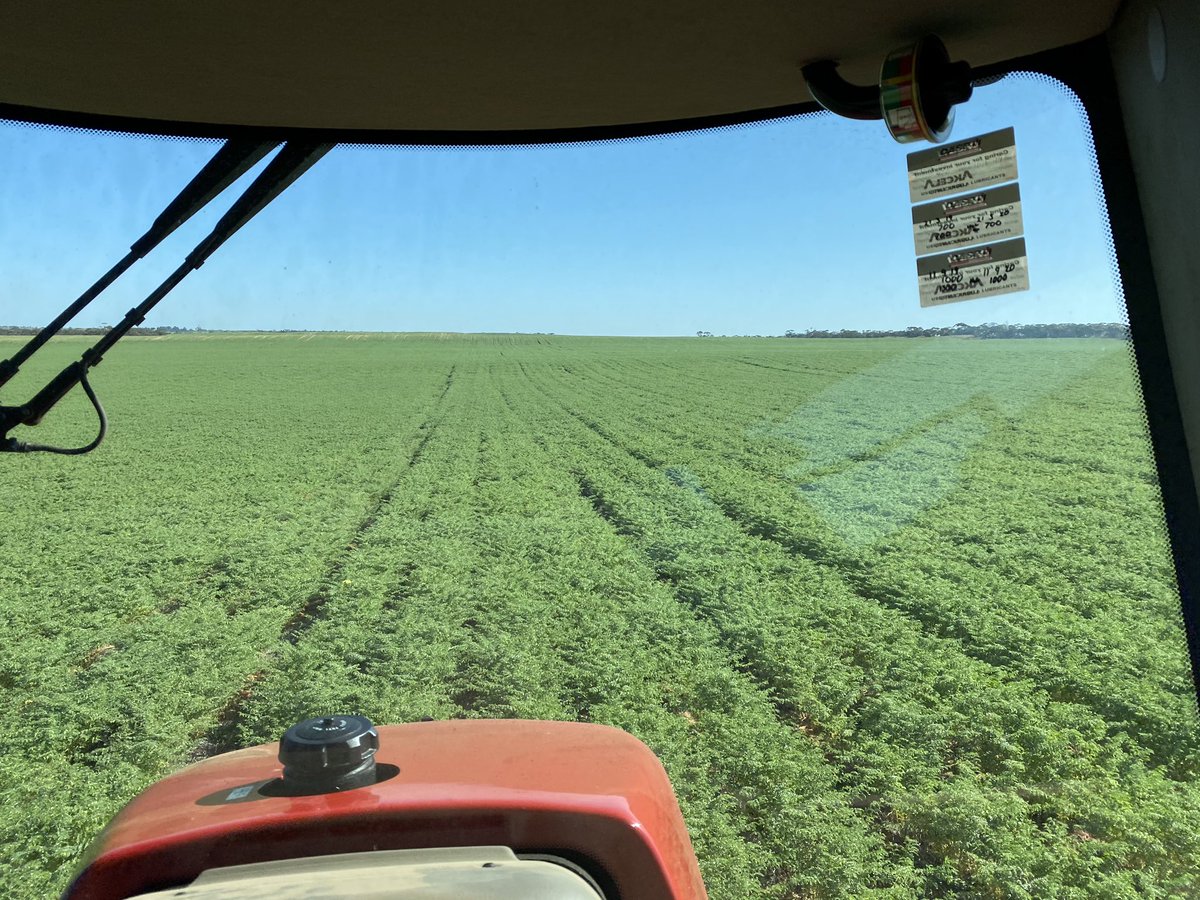 mike walch tweet media