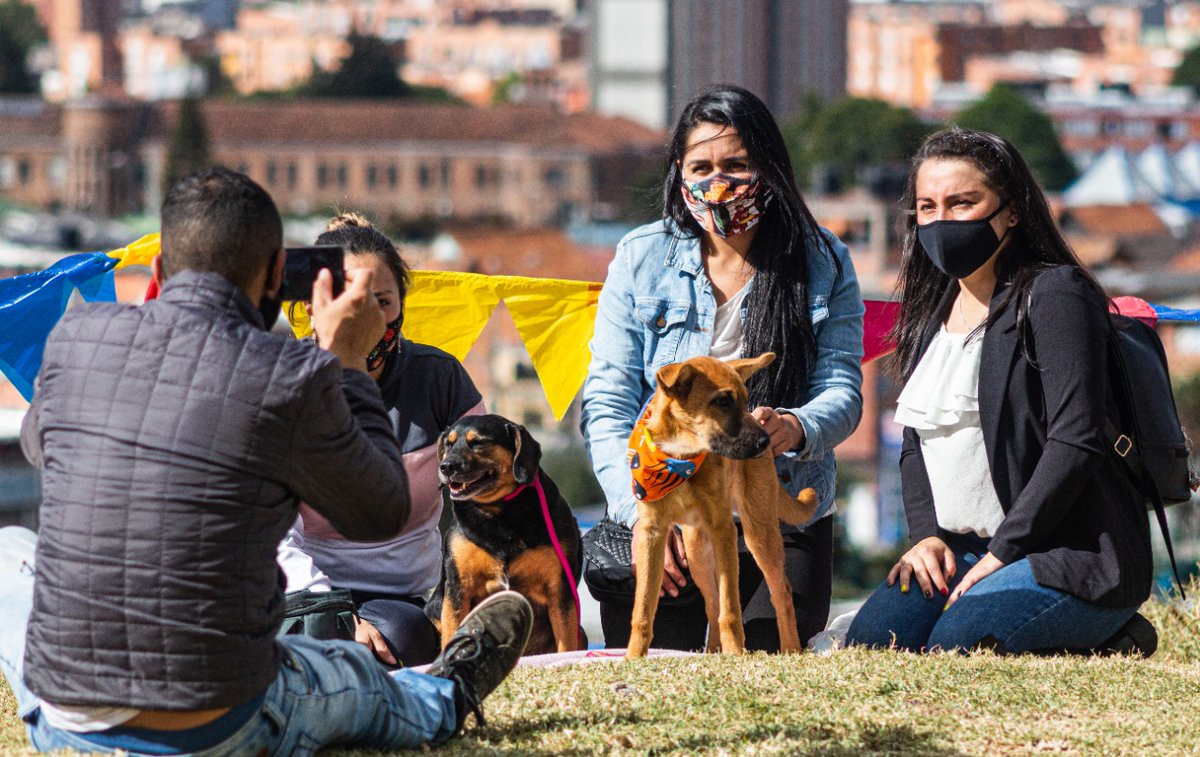 ALSanCristobal's tweet photo. #SanCristóbalAnimalista | Ahora la comunidad tendrá voz y voto para beneficio de los animalitos de nuestra localidad.

Hoy nuestro alcalde local (e), @AndersonAcostaT, y la JAL firmaron Acuerdo 103 de 2020 que reglamenta creación del Consejo Local de Protección y Bienestar Animal https://t.co/XGBb88iZGJ