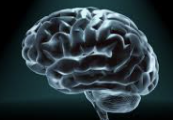 ecalixto's tweet photo. El cerebro siempre inventa justificaciones para explicar nuestros errores, argumentos que terminamos por creer irremediablemente. 
#NochedeNeuroTuits https://t.co/PPCygjjMGn