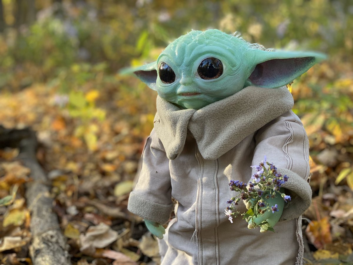 We went out today, and he picked a flower for all of you. #starwars #themandalorian