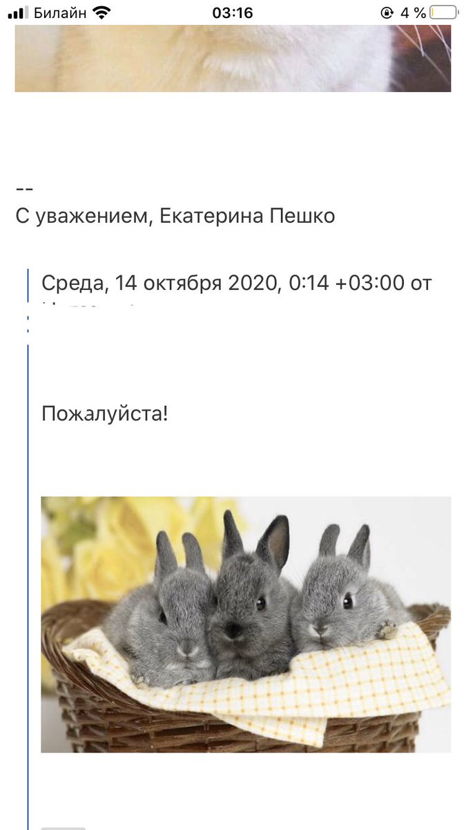 KtrnPshk's tweet photo. Если общаться с эйчаром, то только вот так:

💔 https://t.co/Ao5nyPNhDl