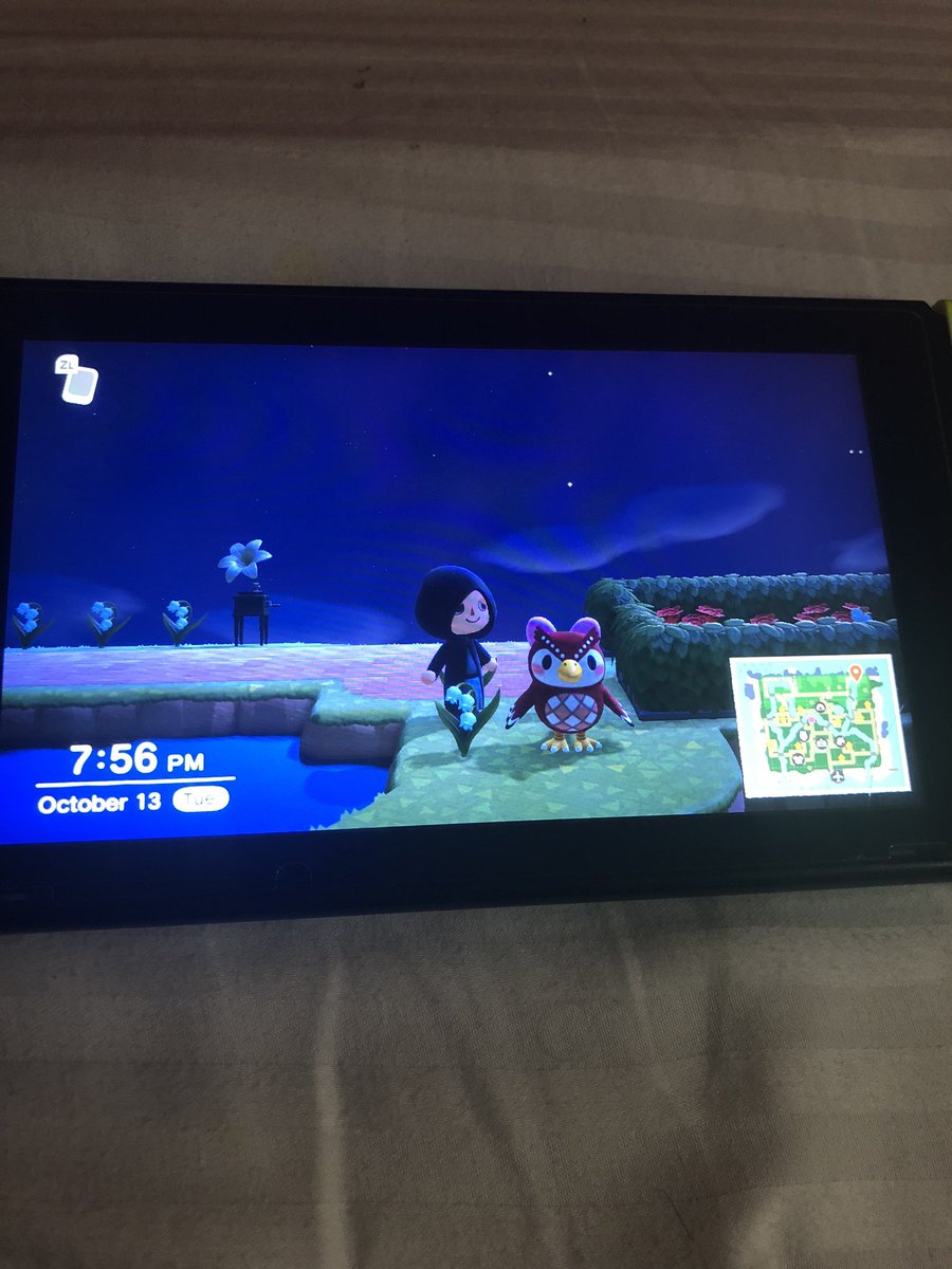 Celeste is here! Come and wish on stars, I also have an abundance of DIY recipes. I’m keeping it going until 11:00pm join here: turnip.exchange/island/29430728 #AnimalCrossingNewHorizons