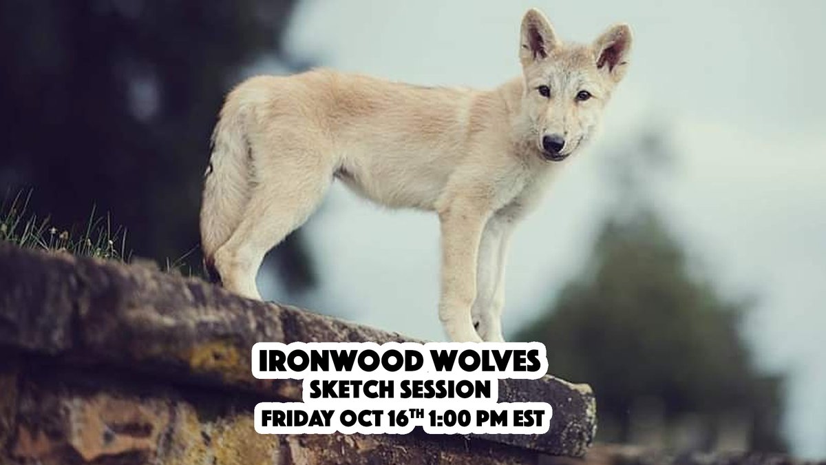 CCAD Animation tweet media