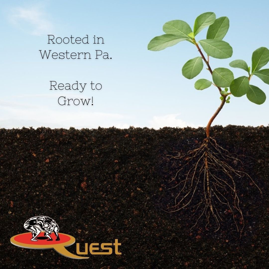 Quest School of Wrestling tweet media