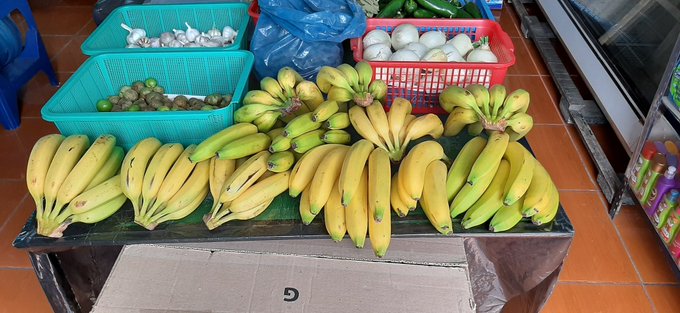 Platano 1