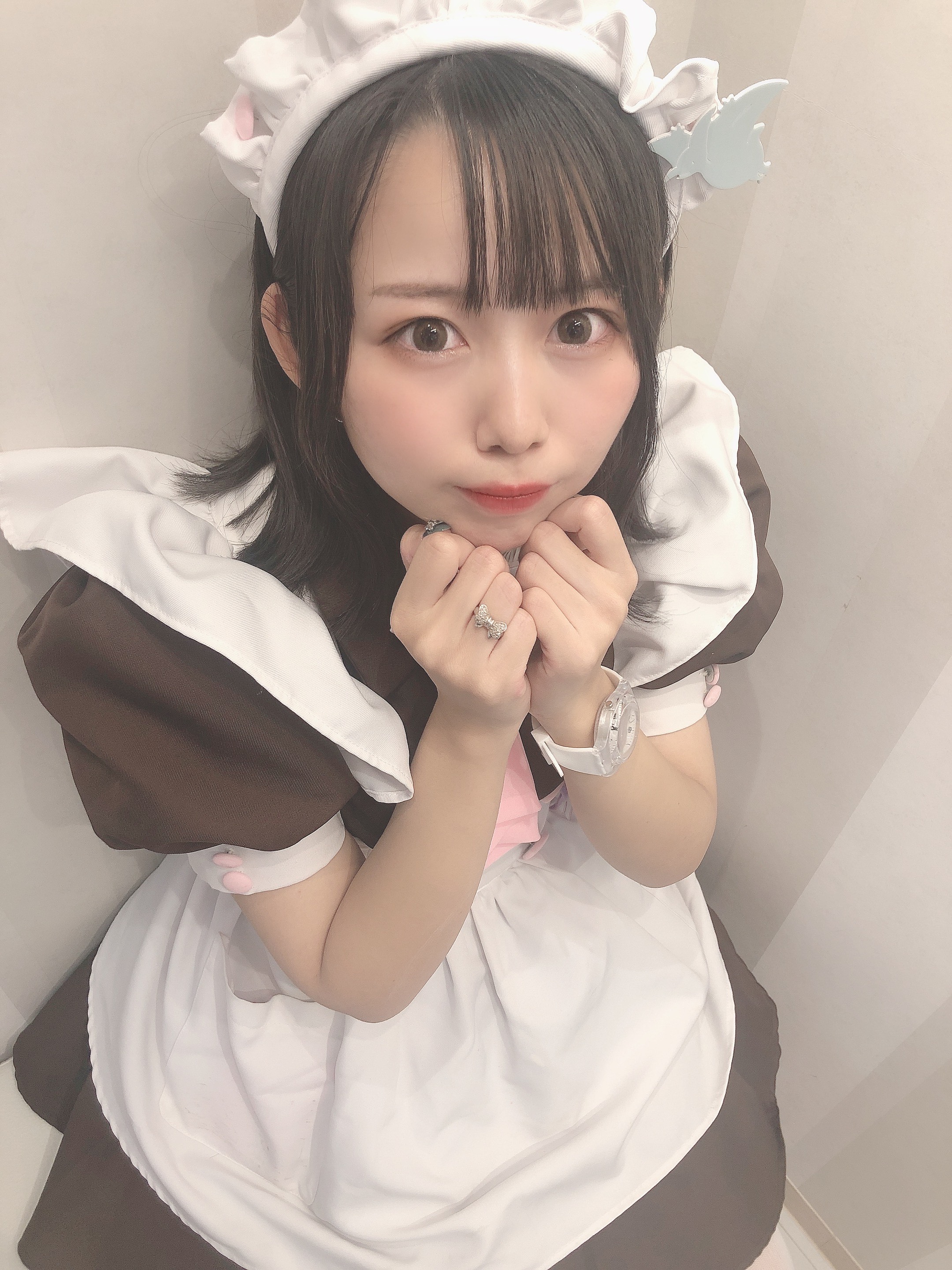 から厳選した メイドカフェ  X: على あっとほぉーむカフェ アイドル