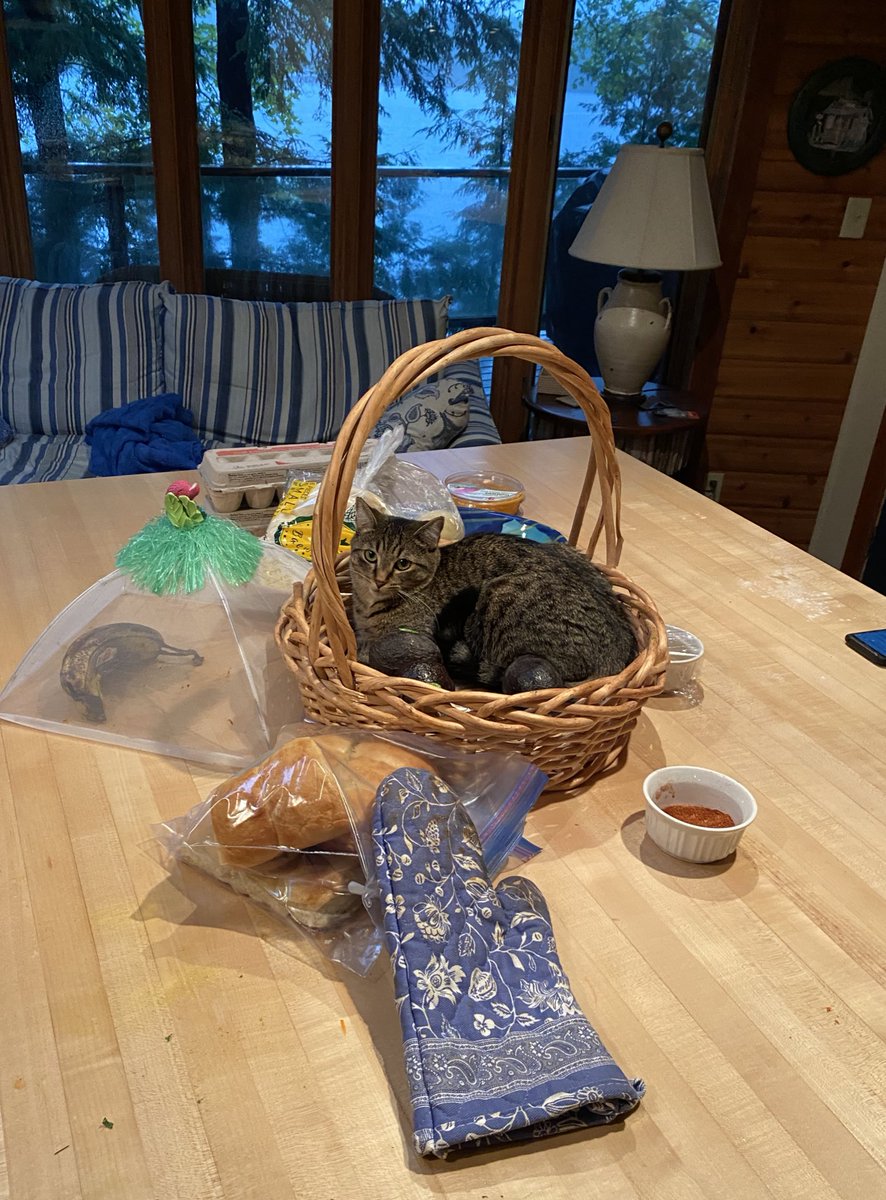 Peanut aka Schnootie