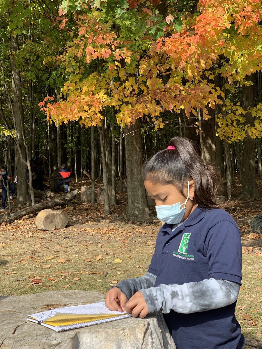 WMAES's tweet photo. Measuring, math  &amp; adaptations today with the gorgeous leaves @WMAES. Students compared the petiole length of leaves found in the sun and ones found inside the forest#envirokid#handson#mathoutside https://t.co/kfxzdrz8Hc