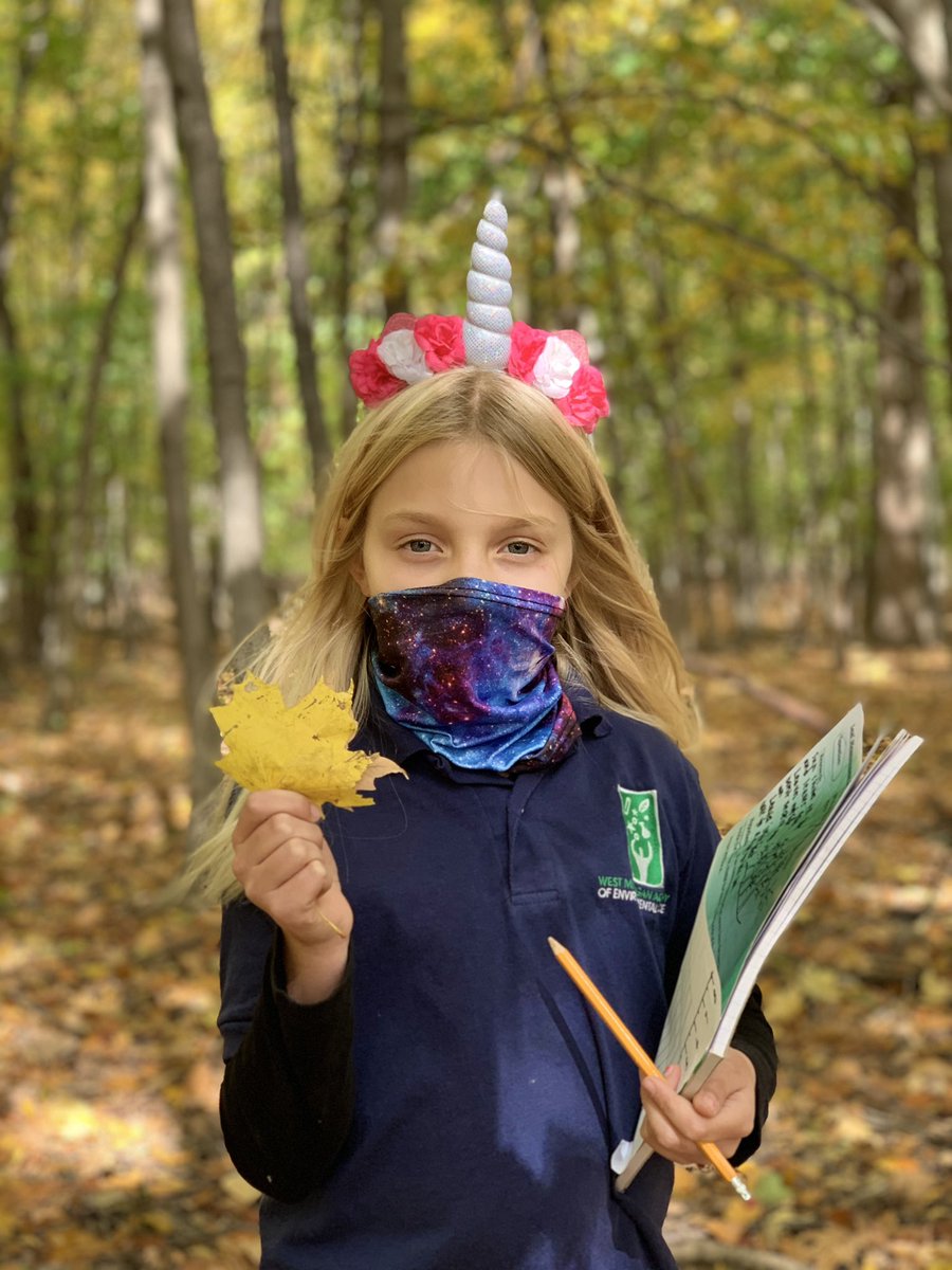 WMAES's tweet photo. Measuring, math  &amp; adaptations today with the gorgeous leaves @WMAES. Students compared the petiole length of leaves found in the sun and ones found inside the forest#envirokid#handson#mathoutside https://t.co/kfxzdrz8Hc