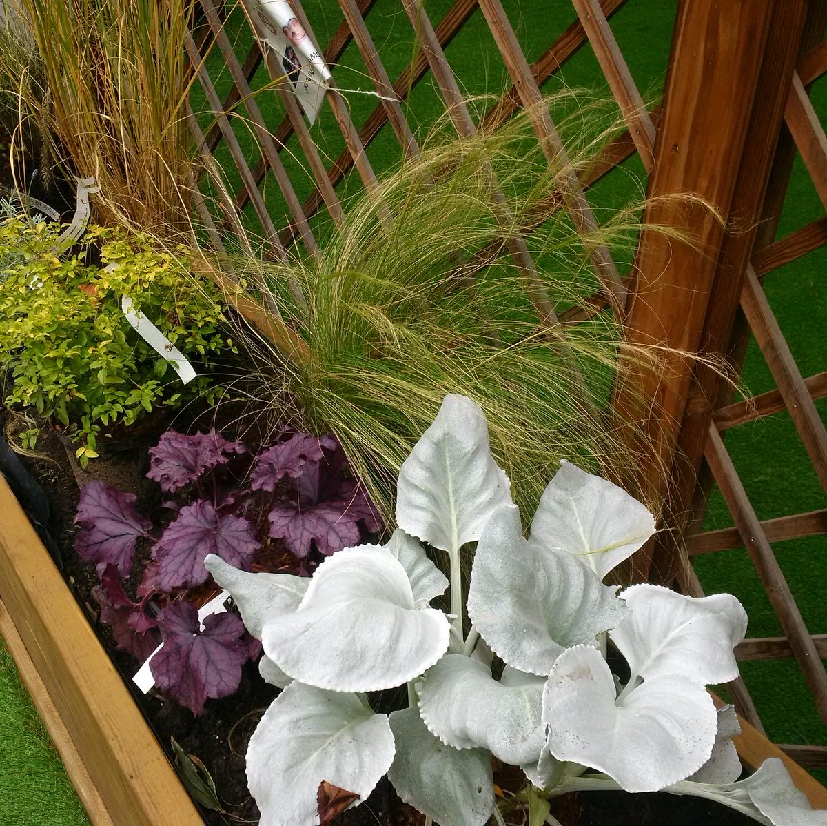 Schools_designs's tweet photo. We are delighted to advise you that we have almost finished our Project at the Masbro Nursery in Brook Green.
The stunning new Activity Structure is in place and the Artificial Grass has been laid. #EYFS #outdoorlearning #playarea #playgroundconstruction #design #schoolgarden https://t.co/wVLJnVBUY4