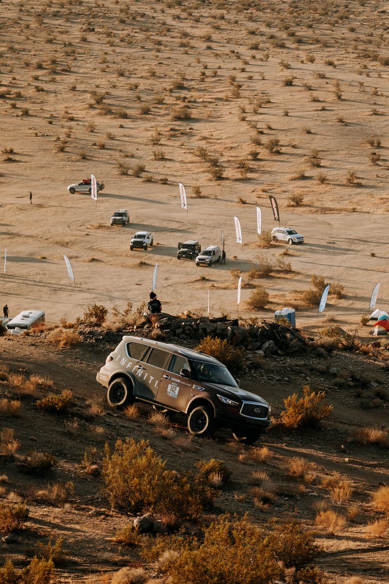 Nicole Wakelin tweet media