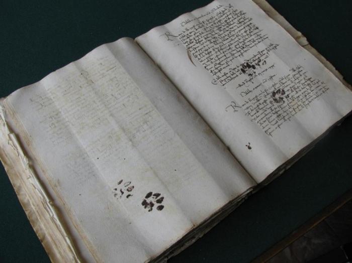 A short thread showing how cats have been walking over our stuff for 4000 years. Starting with this 15th century manuscript from Dubrovnik, immortalised and enhanced by a Mediterranean kitty.
