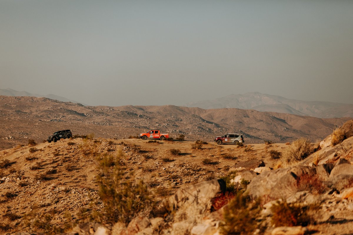 Nicole Wakelin tweet media