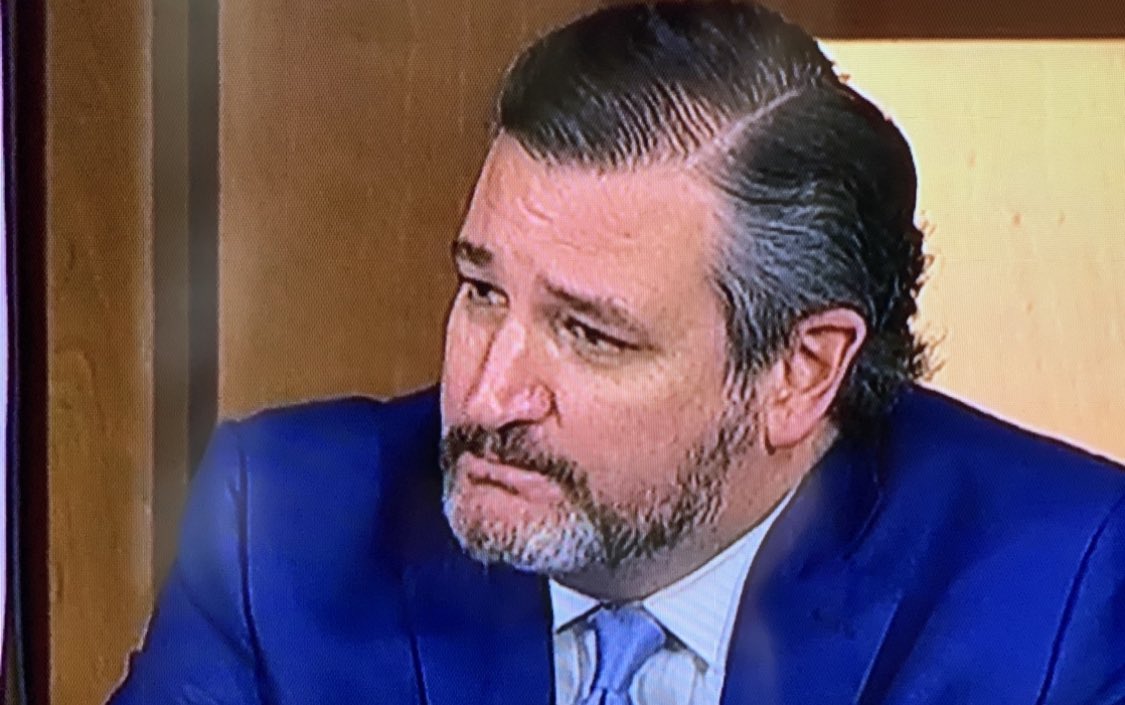 ShereeNurse's tweet photo. Ted Cruz always looks greasy. 

#ACBHearings 
#AmyConeyBarrett https://t.co/YlLc77kxOc