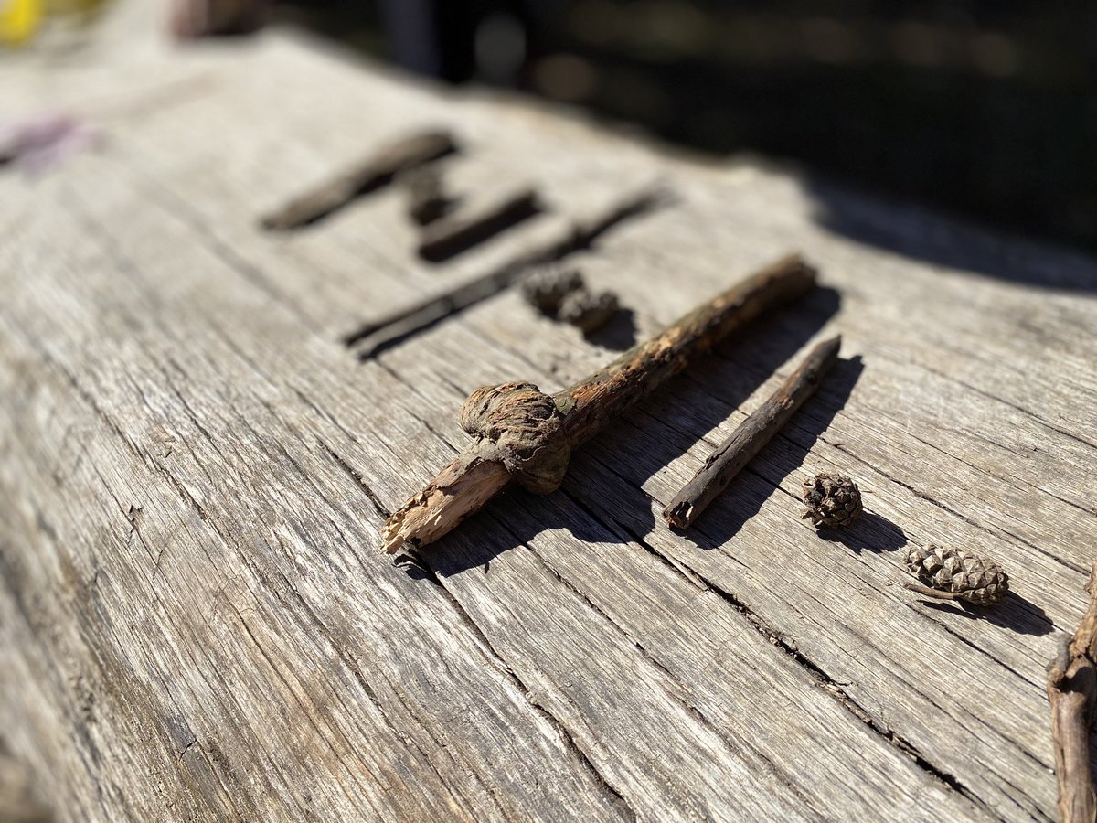 Winegard45's tweet photo. Patterning and Place Value in everyday life.  Question: “Make a repeating pattern using 3 variables and Represent the number 63, 790 (Grade 5) using forest materials!”  #iteachmath #math #getoutside #fall #fallcolours @wcwinegardps #mathoutdoors #outofdoors https://t.co/rSW6iPHbaF