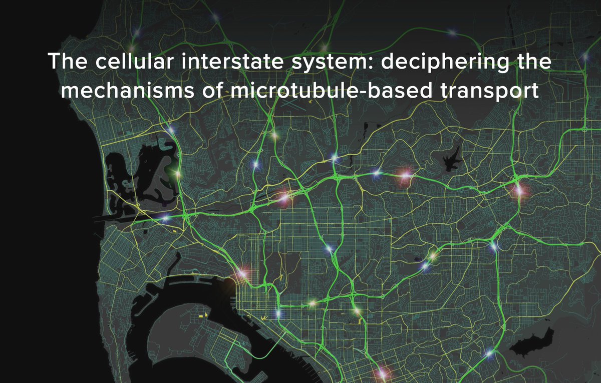 The Reck-Peterson lab <a href="/UCSanDiego/">UC San Diego</a> and HHMI is hiring! 4 positions available: #postdoc, Lab Manager, Senior Research Associate and Senior Scientist. Funded by <a href="/ASAP_Research/">Aligning Science Across Parkinson’s</a> and HHMI.  See reck-peterson.ucsd.edu/positions-avai… to apply. Please RT!