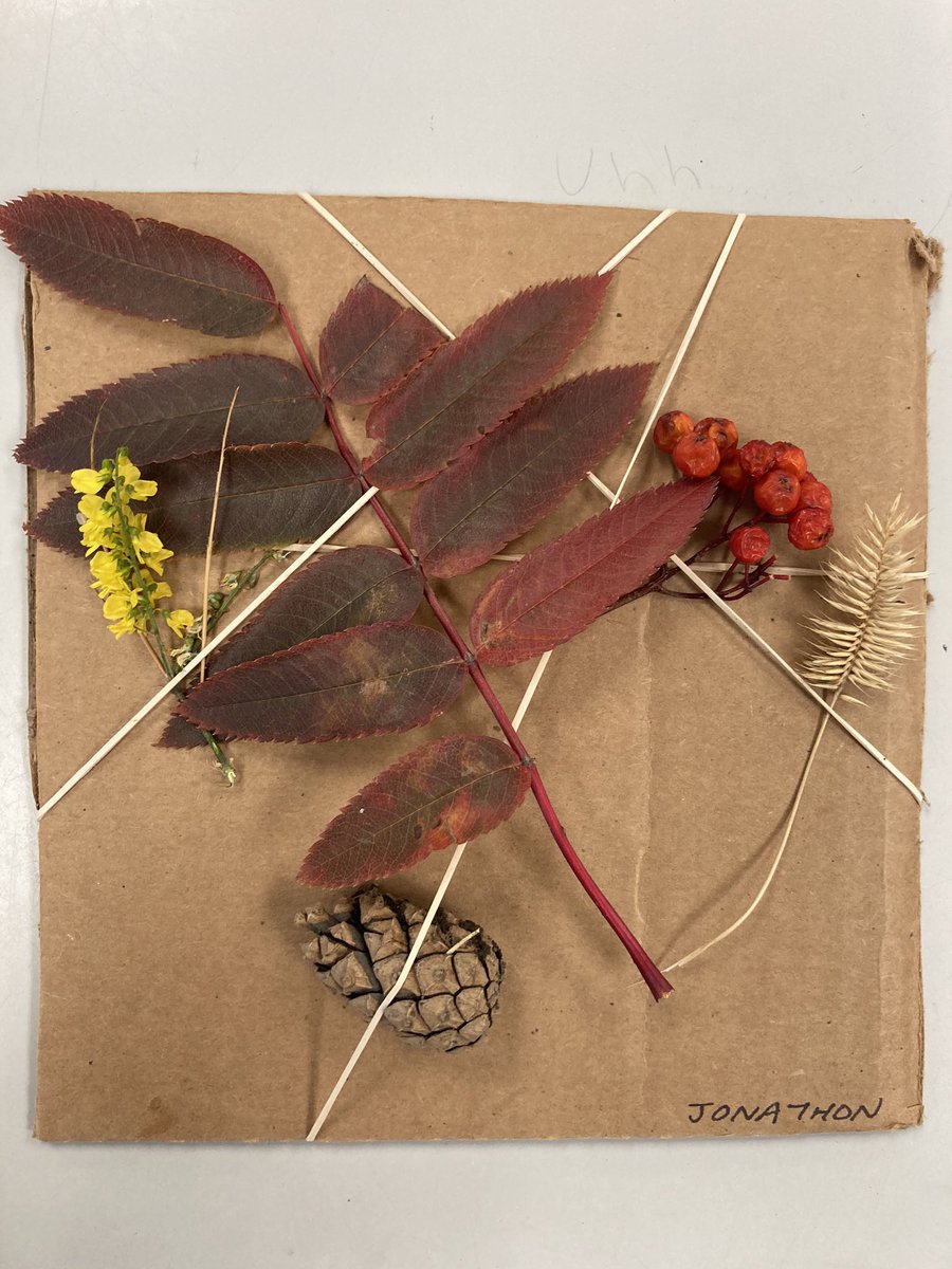 EdgemontShukCBE's tweet photo. In class today we respectfully collected fallen biofacts from the land. Students noticed patterns, colours &amp; textures, &amp; can now greet many of our plant relatives by name. We are coming to know wolf willow, yarrow, rosehip &amp; sage by looking closely &amp; thinking deeply https://t.co/WiFNy1gyfY