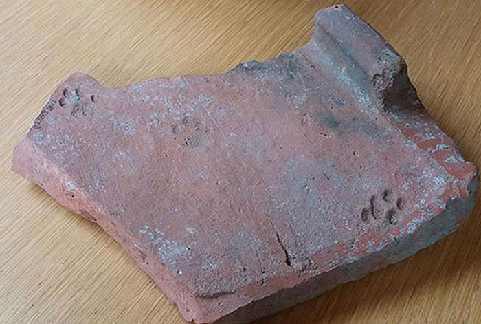 This Roman roof tile with a cat’s paw imprint is from around 100 C.E. It would have been left out in the sun to dry, perfect for a little Kitty to mess up.