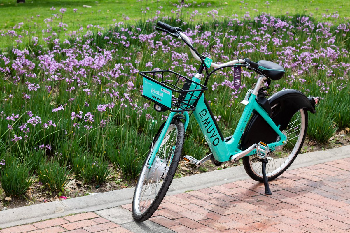 Como empezamos / Como vamos 
Desde el 2017 #micromovilidad #muvobike 😎