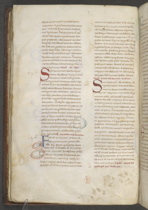 A CATastrophe, this 12th-century copy of Gregory the Great, Registrum epistolarum, from the cathedral priory of St Andrew, Rochester has got muddy paw prints all over it.
