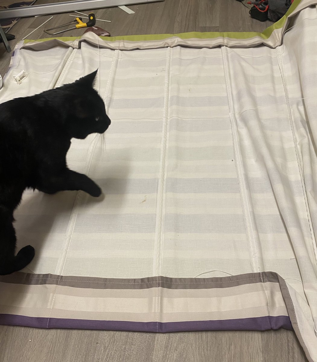 Yesterday I was helping my human make a blind, she did not appreciate my help. #CatsOfTwitter #cats #AdoptDontShop #DIY #catsdiy