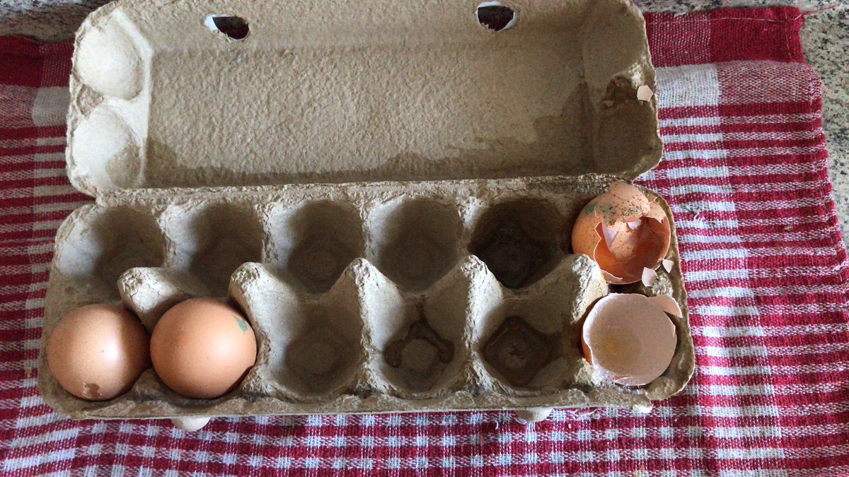 schulercami's tweet photo. Acabo de comprar esta bandeja de huevos Cuisine&amp;Co en @JumboChile #PedroDeValdivia #Ccp y de los 12 huevos pude rescatar 8. 2 venían quebrados, otros 2 pegados, tanto que cuando quise sacar uno de ellos reventó en mi mano ☹️ como la canción de los perritos! https://t.co/ipKOEUWZnC