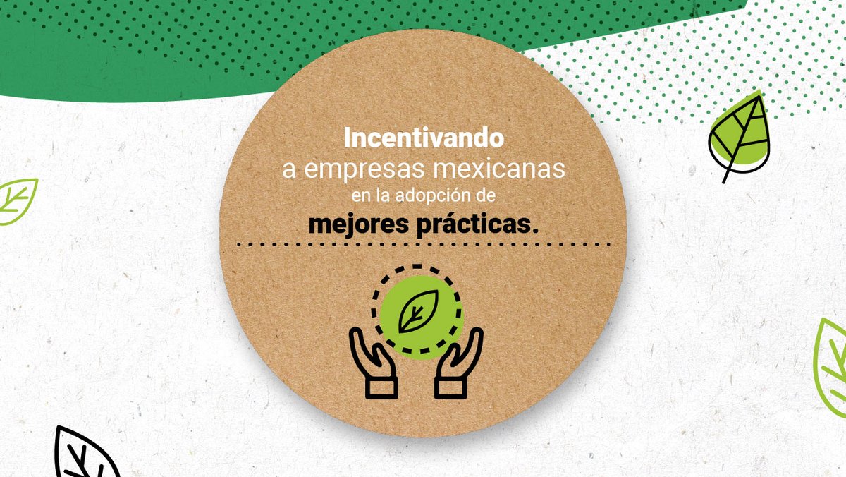 XXIBanorte's tweet photo. Somos la única Afore que ha obtenido por dos años consecutivos la máxima calificación otorgada por @PRI_News A+, ¡Sólo por elegir Afore XXI Banorte estás haciendo el cambio! 🌳🌎 Conoce más en https://t.co/ZIjZq1hy4v https://t.co/B6EoPa7pnx