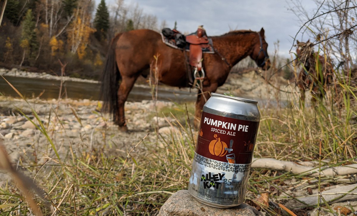 Nice ride and a nice brew!
Beautiful fall photo down on the Pembina River Bank, how did you spend your thanksgiving weekend Kats?!

#abbeer #alleykat #alleykatbeer #yeg #yegbeer #abcraftbeer