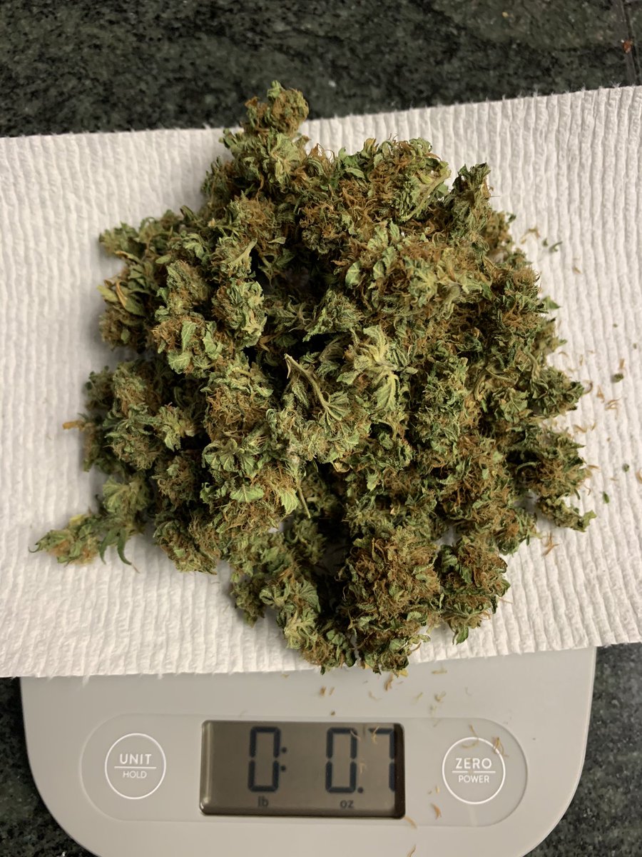 @ngaio420 I just started growing during covid lockdown as a hobby...this is my 2nd harvest (I had 2plants die near end of bloom last week) #newbie instagram.com/theSierraFunhi…