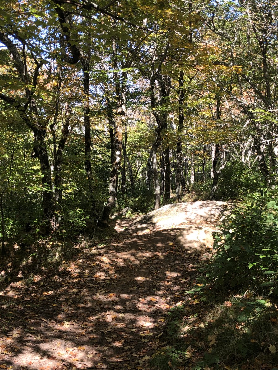 britestack's tweet image. In this week's #TrailNotes, I head up to the Emerald Outback in @BeechMountainNC. It's just as enchanting as it sounds! (via #TrailTeam11 @WJHL11) wjhl.com/community/trai…