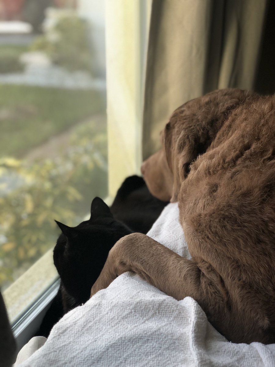 Jennifer Novotney tweet media