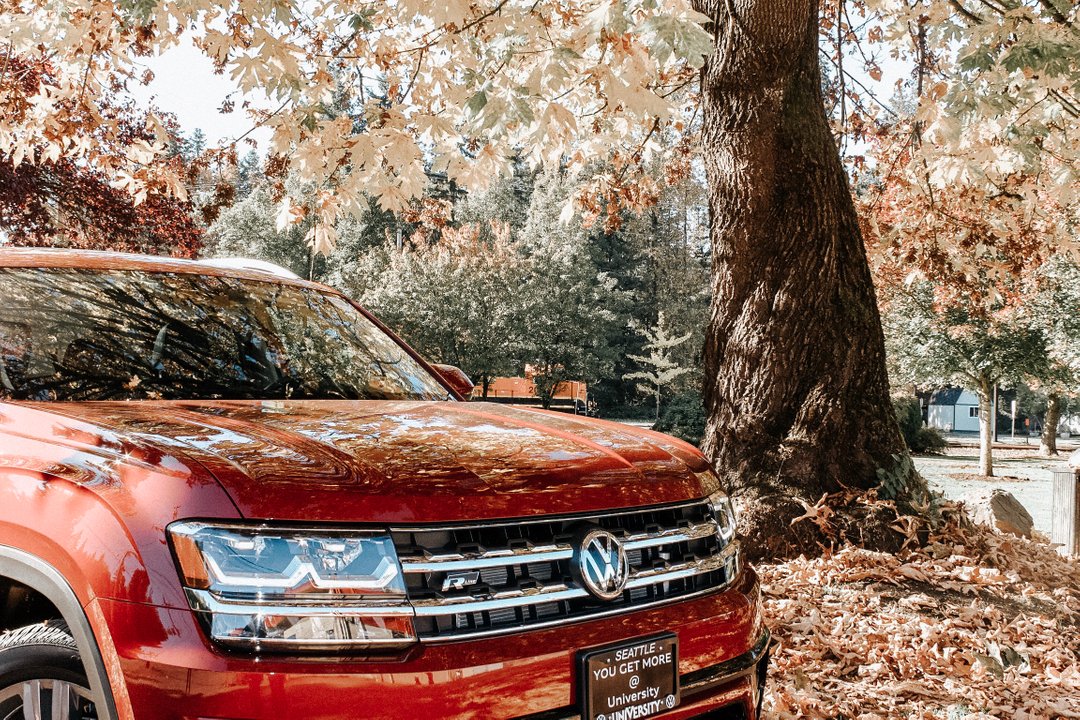 What's your favorite thing about fall? 

#vw #Atlas #volkswagen #seattle #snohomish #leaves #Atlas #vwAtlas #suv #roadtrip #falldrives