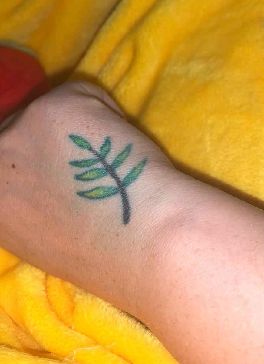 bean_enby's tweet photo. can we laugh about how I have a whole ass tattoo on me that I thought was a fern but later found out it is an olive branch https://t.co/oIZkht9tKD