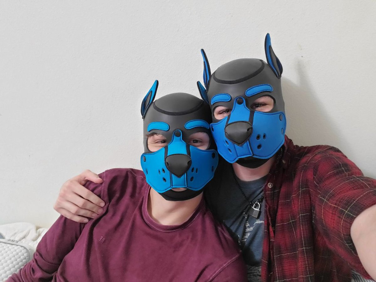 null_pup's tweet photo. Me and @LittlePupCobalt https://t.co/TdZcaXimCJ