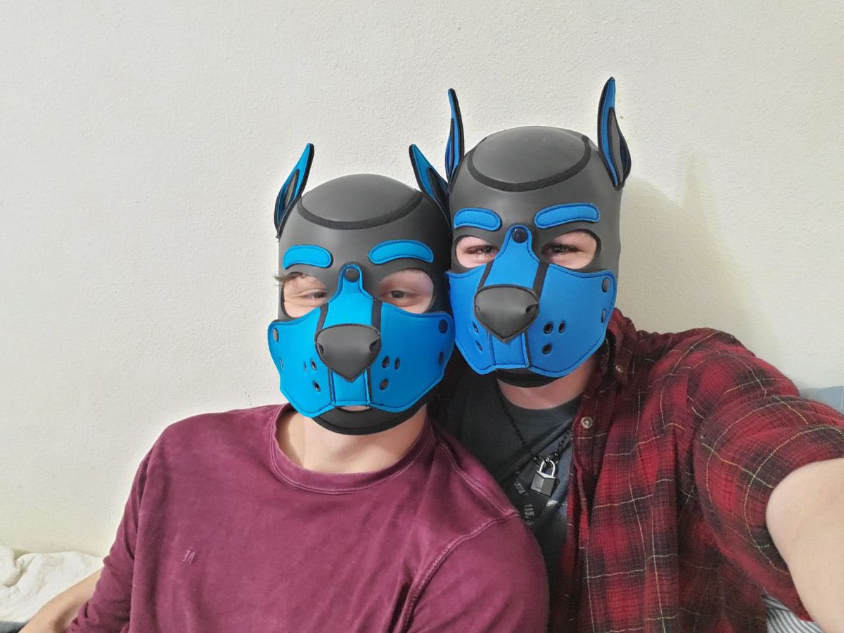 null_pup's tweet photo. Me and @LittlePupCobalt https://t.co/TdZcaXimCJ