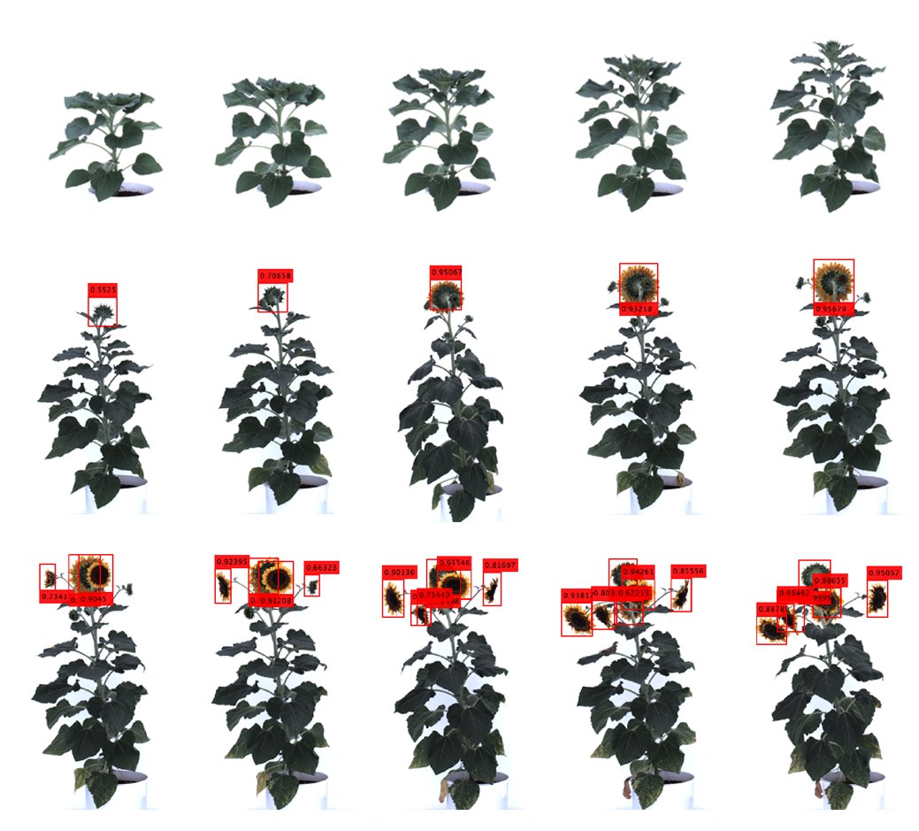 Congratulations to Dr. S. Das Choudhury for developing FlowerNetPheno: A tool for the detection of flowers based on spatio-temporal image sequence
analysis using YOLO for event-based plant phenotyping.