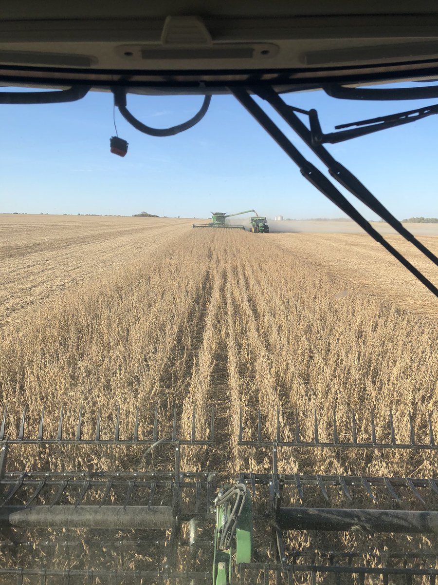tj_jff's tweet photo. Time for a game of chicken??@farmer_matt97 https://t.co/p2Kz3ArWUh