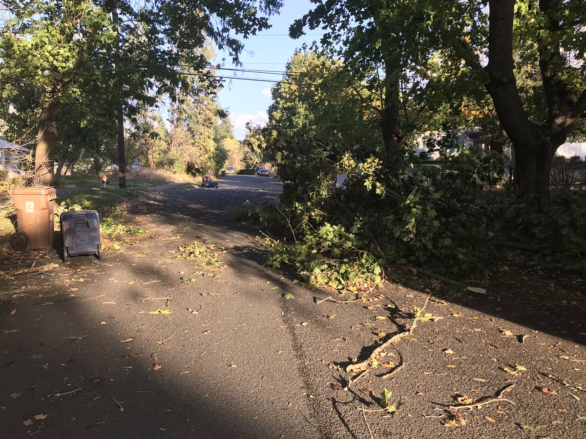 bruntjon's tweet photo. Lots of trash bins blowing around Spokane’s East Central And South Perry neighborhoods. This is at 13th and Pittsburg. https://t.co/YqCB8xVQ6e