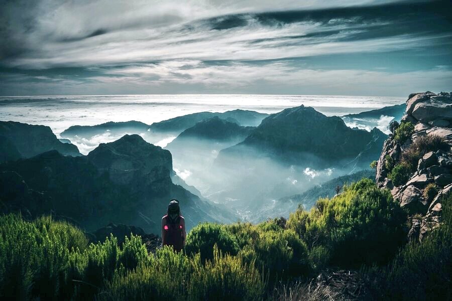 Madeira's tweet photo. "Living a healthy life is the ultimate solution to solve the COVID-19 pandemic problem."

~ Laninka 

#Madeira🧭 https://t.co/KNVFzeKcUm