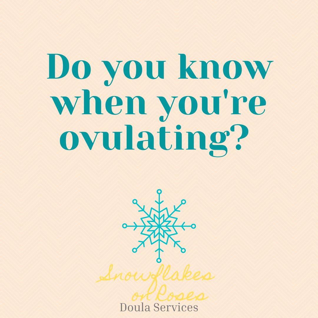 snowflakeonrose's tweet image. #fertility #fertilitydoula #fertilityawarenessmethod #ttc #tryingtoconceive