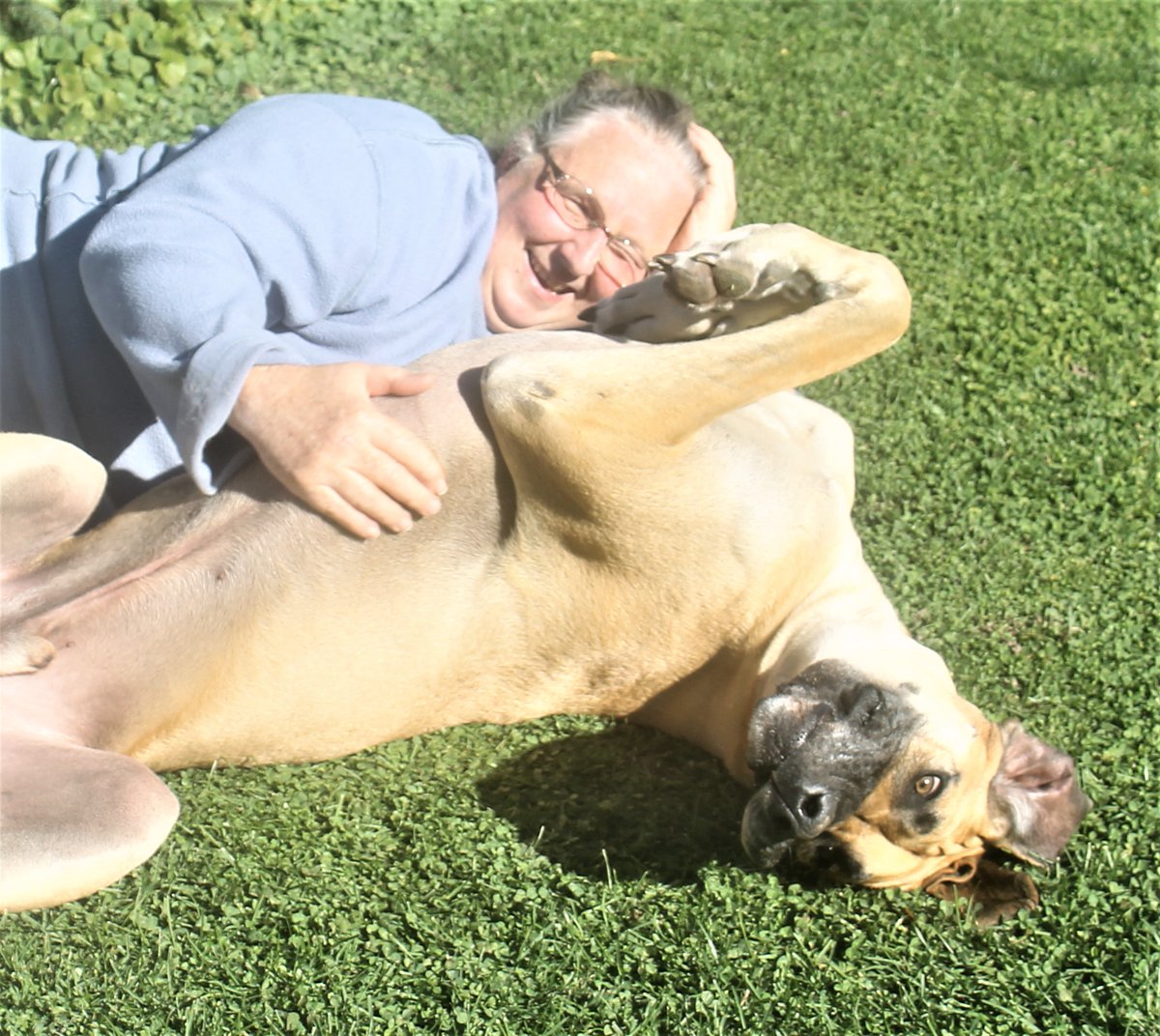 Prospect Equine  tweet media