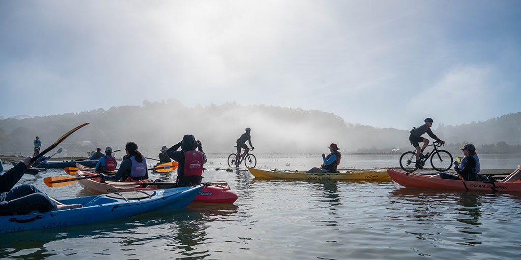 On Thur 10/15, we hold online talks about sea-level rise in Marin. Visit onetam.org/summit to learn about our 9 am-noon sessions, and onetam.org/bothin to learn about the 5pm session focused on Bothin Marsh and the Sausalito-Mill Valley bike path 📸 Dana Lui