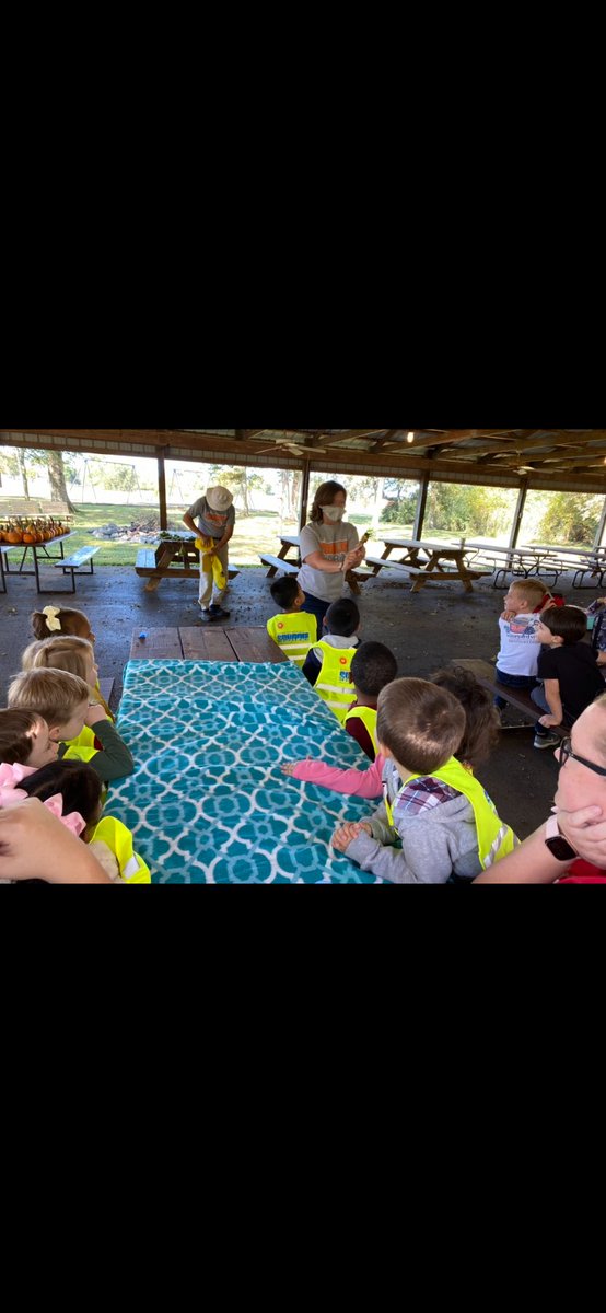 WCPS_preschool's tweet photo. Ms Stefanie Shrull’s preschool Bulldogs at @RichPondElement spent their morning outside engaged in hands on learning about how plants grow including a demonstration on pollination by Ms. Jill from @justpiddlinfarm #wcpspreschool #wcpsleads #growingpumpkins #growingminds https://t.co/iaVDWPAkvb