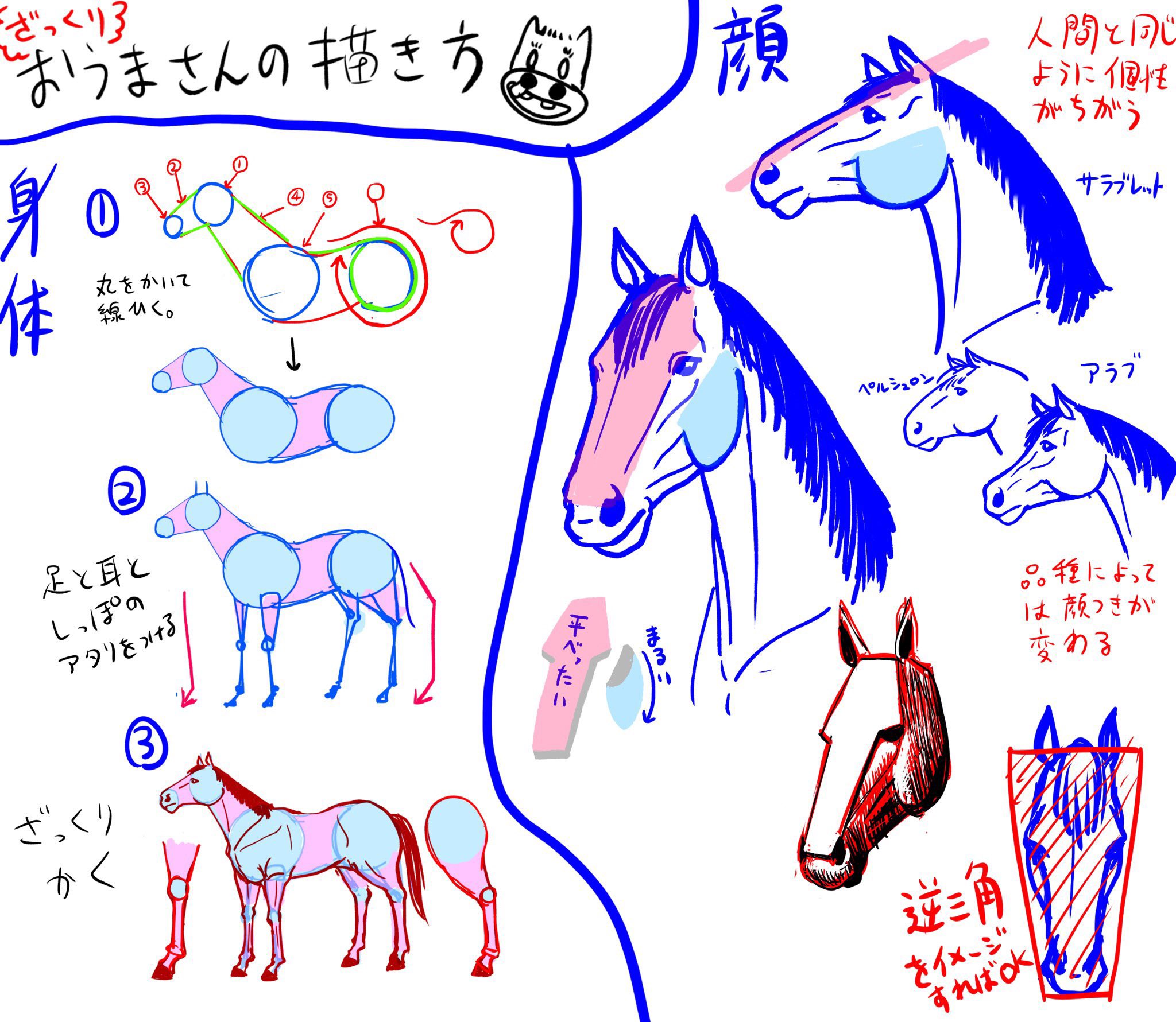 にしにし そういえば前描いたお馬さんの描き方イラスト見つけたので貼りますね T Co Oftlzhcfhf Twitter
