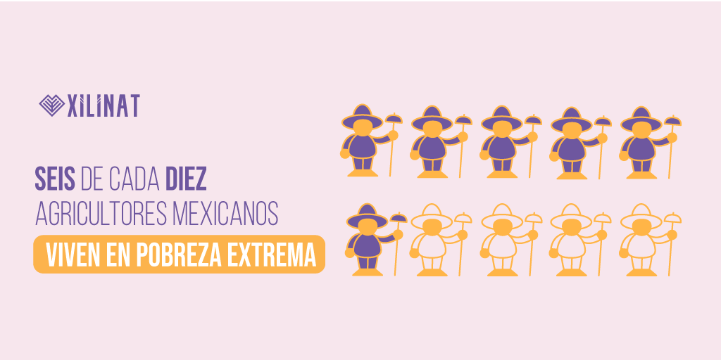 Ayúdanos a mejorar la calidad de vida de nuestros agricultores mexicanos🧑‍🌾🌽🇲🇽

#ConsumeLocal #Xilinat